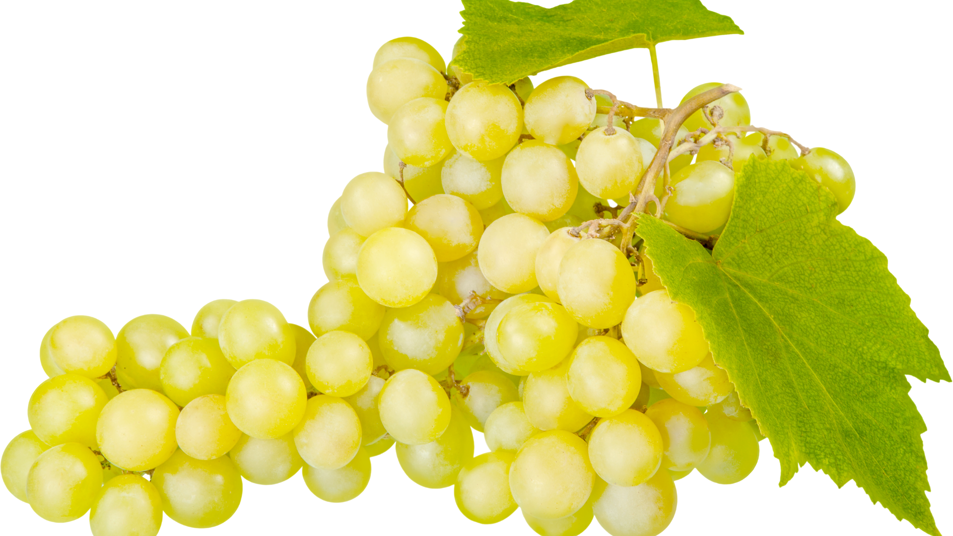 Johannisberg